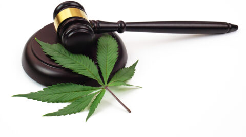 Gavel and marijuana leaf representing Ohio marijuana expungement, cannabis record sealing, and criminal defense law in Cincinnati.